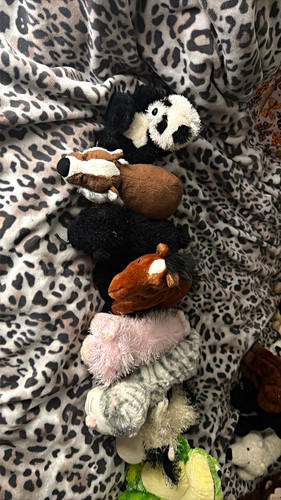 Assorted plush stuffed - assorted, animals