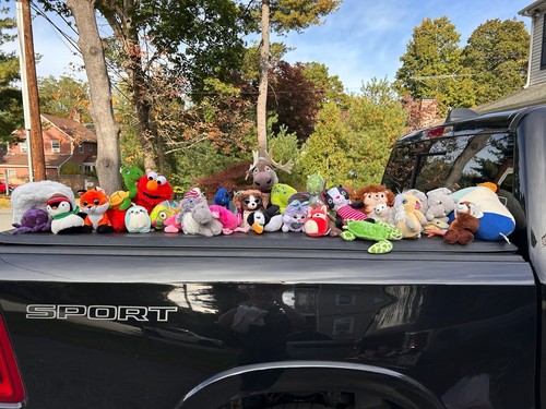 Assorted plush stuffed animals - assorted,