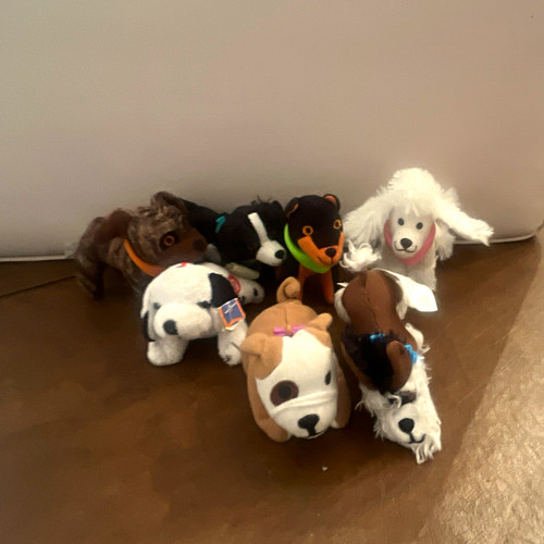 Lot multicolor dog plush - of,